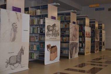 Zdjęcie z galerii Koń jaki jest… – wystawa w Gminnej Bibliotece Publicznej w Oleśnie