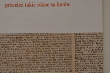 Zdjęcie z galerii Koń jaki jest… – wystawa w Gminnej Bibliotece Publicznej w Oleśnie
